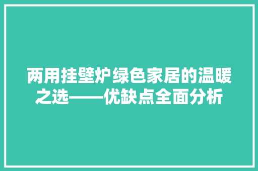 两用挂壁炉绿色家居的温暖之选——优缺点全面分析