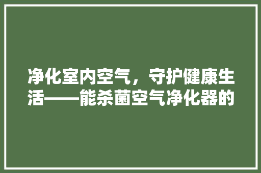净化室内空气，守护健康生活——能杀菌空气净化器的神奇功效