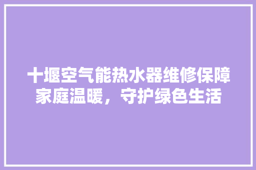 十堰空气能热水器维修保障家庭温暖，守护绿色生活 家电维修