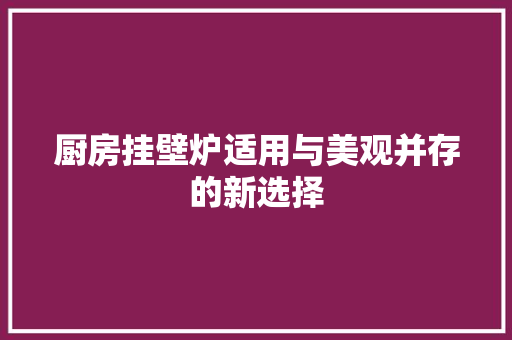 厨房挂壁炉适用与美观并存的新选择