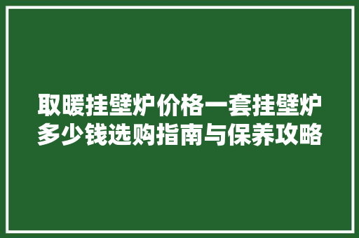 取暖挂壁炉价格一套挂壁炉多少钱选购指南与保养攻略