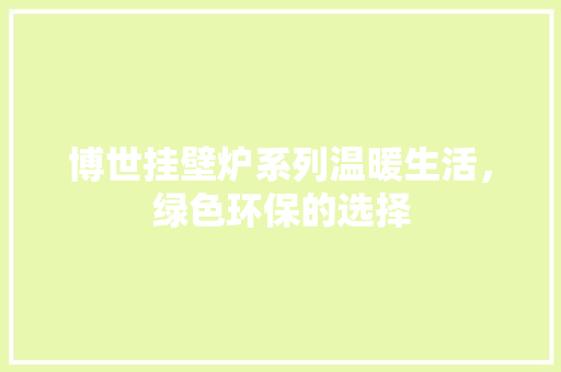 博世挂壁炉系列温暖生活，绿色环保的选择 厨房维修