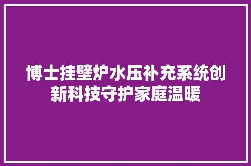 博士挂壁炉水压补充系统创新科技守护家庭温暖 家电维修