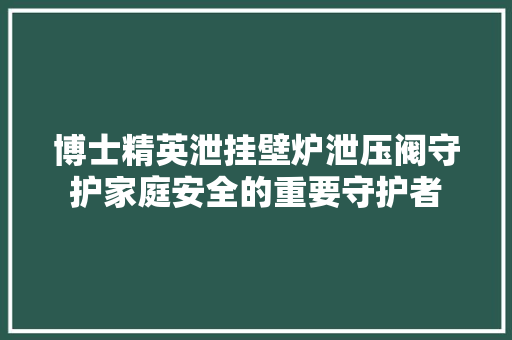 博士精英泄挂壁炉泄压阀守护家庭安全的重要守护者 汽车维修
