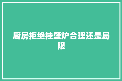 厨房拒绝挂壁炉合理还是局限 厨房维修