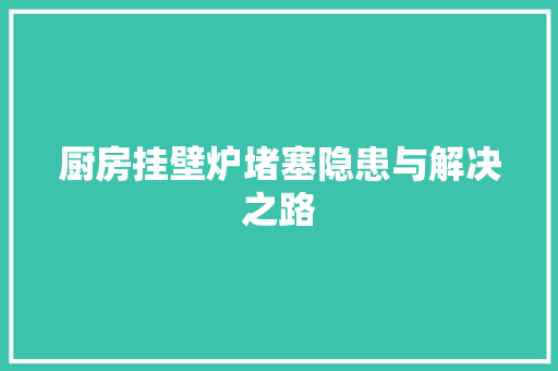 厨房挂壁炉堵塞隐患与解决之路 墙体维修