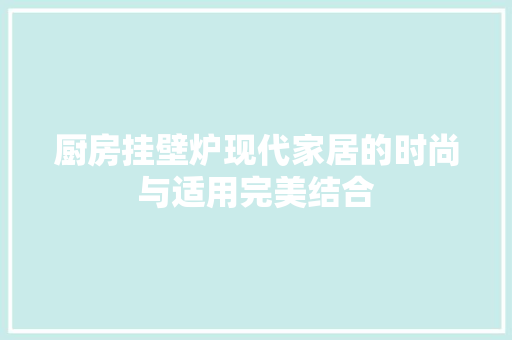 厨房挂壁炉现代家居的时尚与适用完美结合 墙体维修