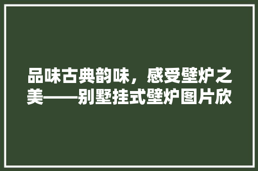 品味古典韵味，感受壁炉之美——别墅挂式壁炉图片欣赏大全 综合便民