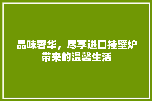 品味奢华，尽享进口挂壁炉带来的温馨生活 家电维修