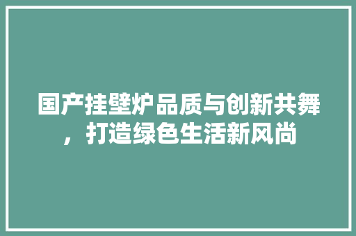 国产挂壁炉品质与创新共舞，打造绿色生活新风尚 汽车维修