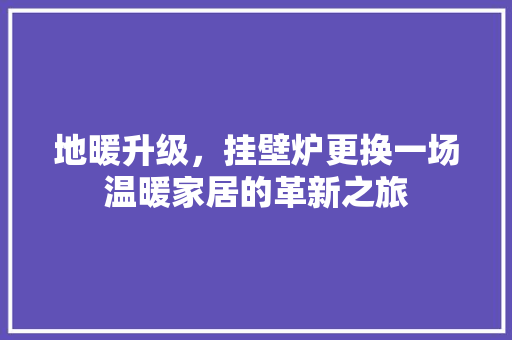 地暖升级，挂壁炉更换一场温暖家居的革新之旅 综合便民