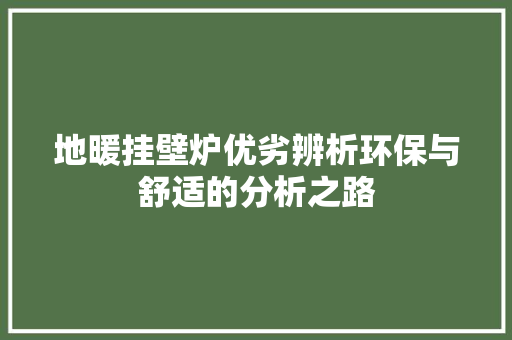 地暖挂壁炉优劣辨析环保与舒适的分析之路 综合便民