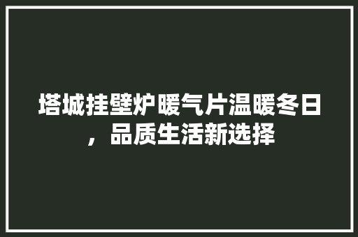 塔城挂壁炉暖气片温暖冬日，品质生活新选择 墙体维修