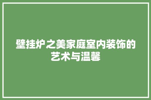 壁挂炉之美家庭室内装饰的艺术与温馨 厨房维修