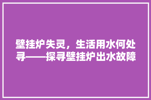 壁挂炉失灵，生活用水何处寻——探寻壁挂炉出水故障的根源及解决之路 综合便民