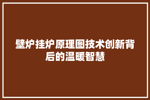 壁炉挂炉原理图技术创新背后的温暖智慧 厨房维修