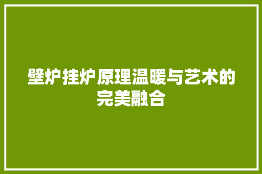 壁炉挂炉原理温暖与艺术的完美融合 厨房维修