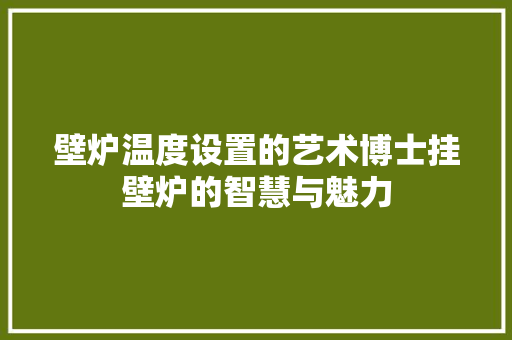 壁炉温度设置的艺术博士挂壁炉的智慧与魅力 厨房维修