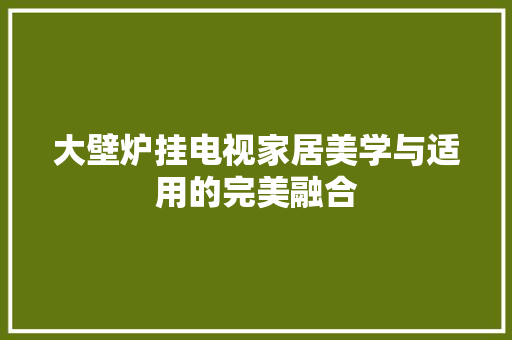 大壁炉挂电视家居美学与适用的完美融合 厨房维修