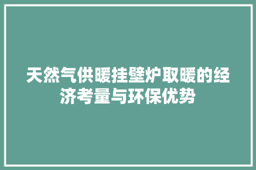 天然气供暖挂壁炉取暖的经济考量与环保优势 厨房维修