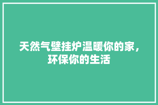 天然气壁挂炉温暖你的家，环保你的生活 家电维修
