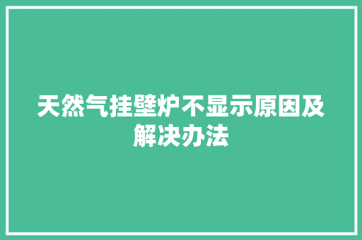 天然气挂壁炉不显示原因及解决办法 墙体维修
