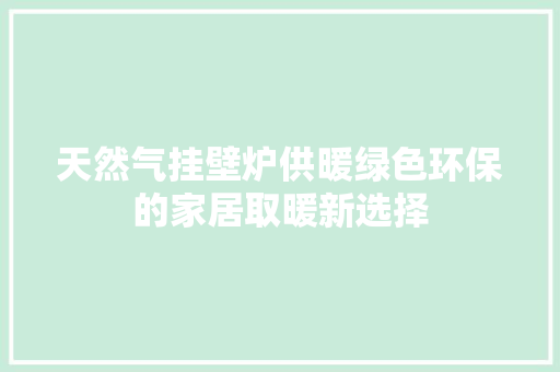 天然气挂壁炉供暖绿色环保的家居取暖新选择 汽车维修