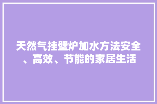 天然气挂壁炉加水方法安全、高效、节能的家居生活 汽车维修