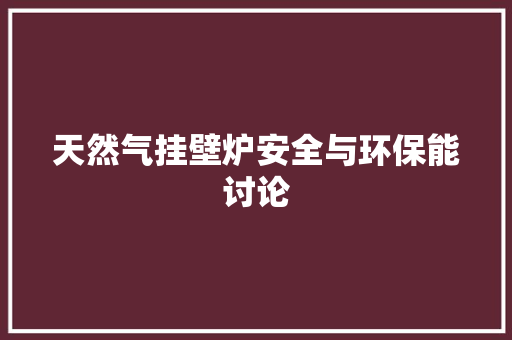 天然气挂壁炉安全与环保能讨论 汽车维修