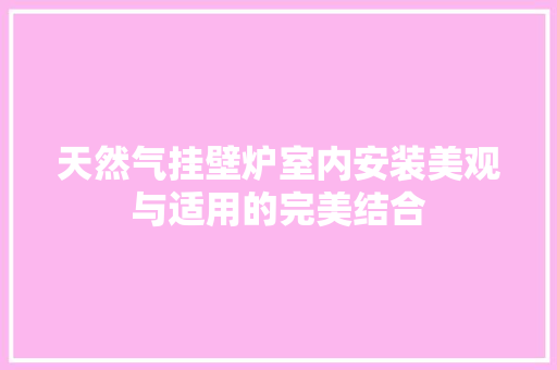 天然气挂壁炉室内安装美观与适用的完美结合 墙体维修