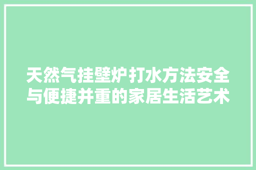 天然气挂壁炉打水方法安全与便捷并重的家居生活艺术 家电维修
