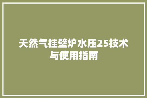 天然气挂壁炉水压25技术与使用指南 汽车维修