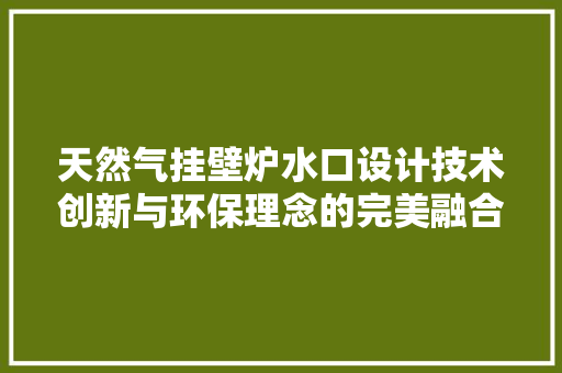 天然气挂壁炉水口设计技术创新与环保理念的完美融合 家电维修