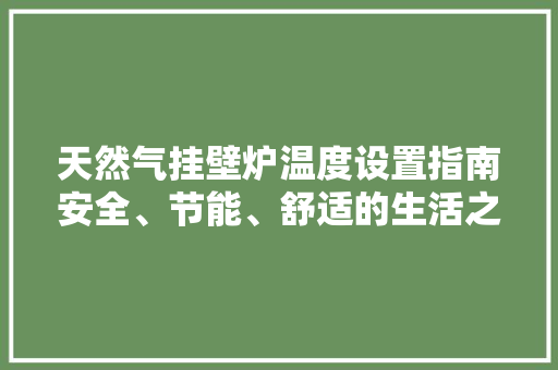 天然气挂壁炉温度设置指南安全、节能、舒适的生活之路 汽车维修