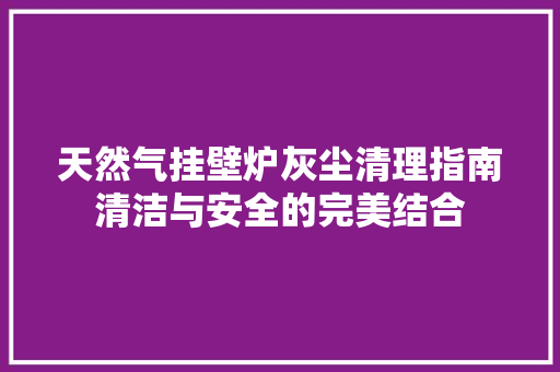 天然气挂壁炉灰尘清理指南清洁与安全的完美结合 家电维修