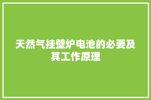 天然气挂壁炉电池的必要及其工作原理 汽车维修