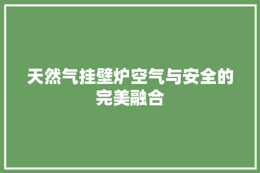 天然气挂壁炉空气与安全的完美融合 汽车维修