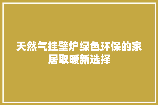 天然气挂壁炉绿色环保的家居取暖新选择 墙体维修