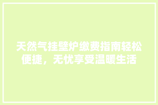 天然气挂壁炉缴费指南轻松便捷，无忧享受温暖生活 汽车维修