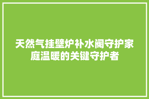 天然气挂壁炉补水阀守护家庭温暖的关键守护者 墙体维修