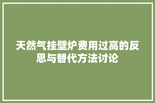 天然气挂壁炉费用过高的反思与替代方法讨论 汽车维修