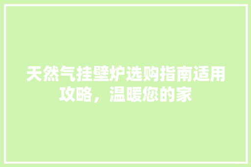 天然气挂壁炉选购指南适用攻略，温暖您的家 墙体维修