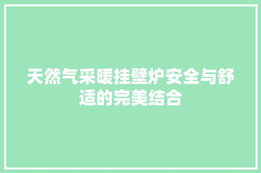天然气采暖挂壁炉安全与舒适的完美结合 家电维修