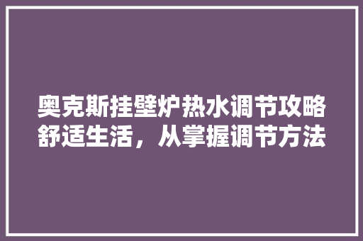 奥克斯挂壁炉热水调节攻略舒适生活，从掌握调节方法开始 厨房维修