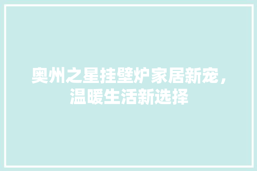 奥州之星挂壁炉家居新宠，温暖生活新选择 汽车维修