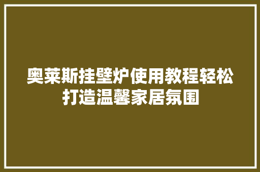 奥莱斯挂壁炉使用教程轻松打造温馨家居氛围 厨房维修