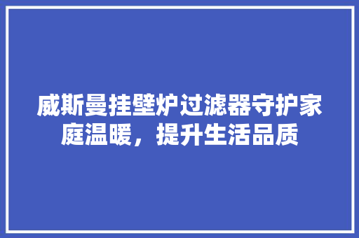 威斯曼挂壁炉过滤器守护家庭温暖，提升生活品质 墙体维修