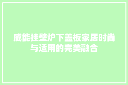 威能挂壁炉下盖板家居时尚与适用的完美融合 家电维修
