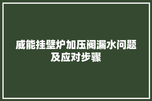 威能挂壁炉加压阀漏水问题及应对步骤 墙体维修