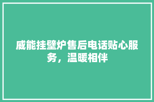 威能挂壁炉售后电话贴心服务，温暖相伴 家电维修